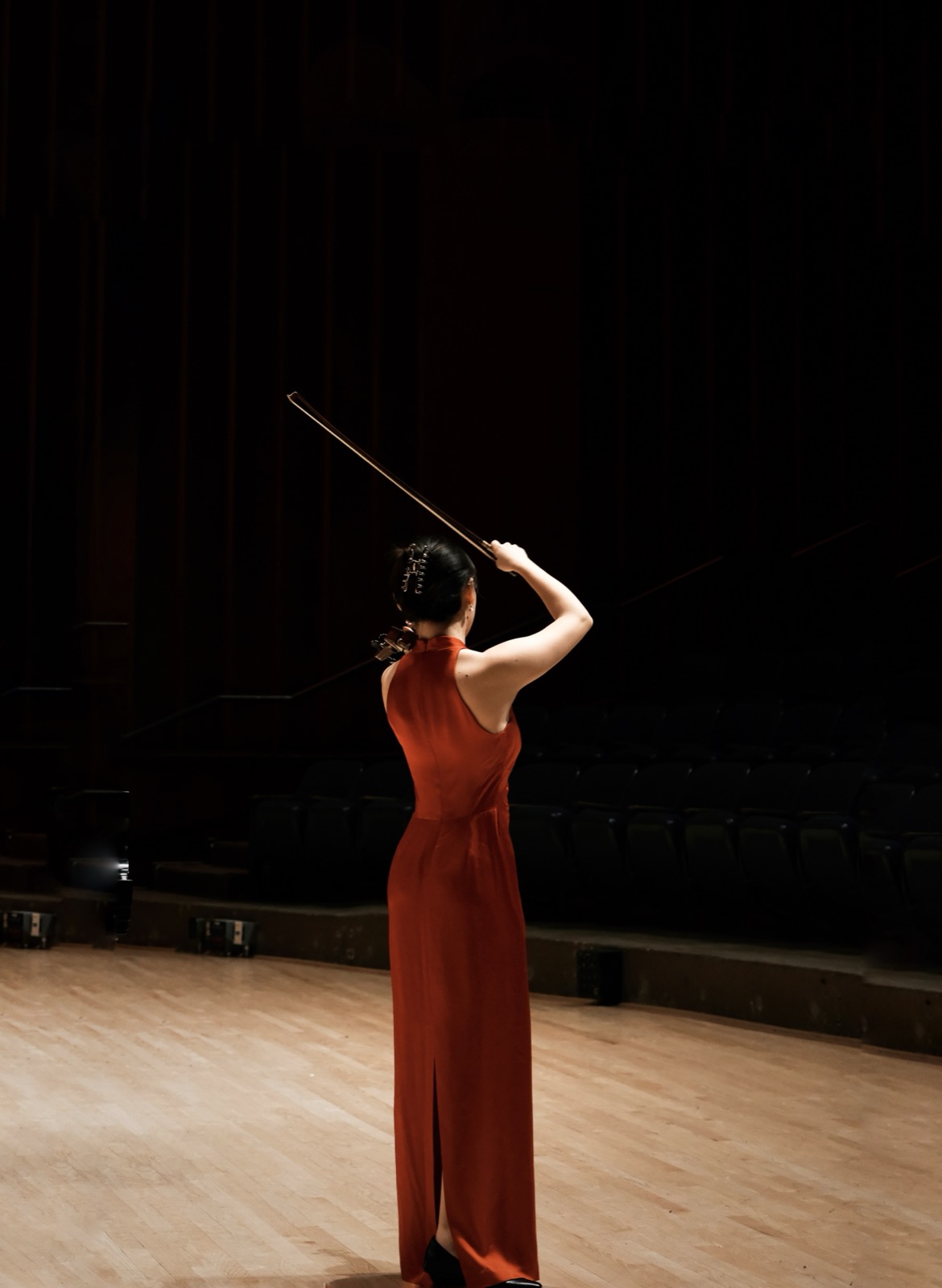 Violinist from behind, bow raised